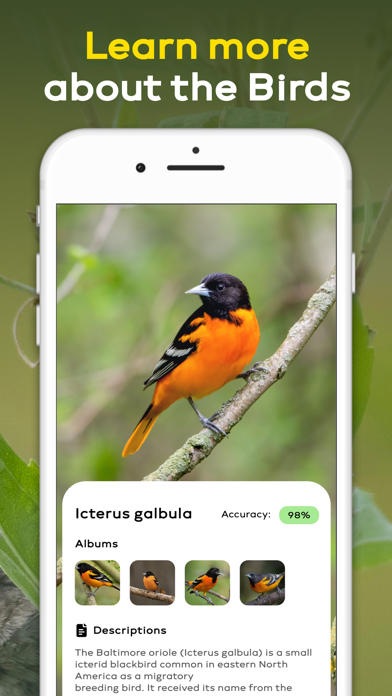 Bird Identifier 鳥の名前 野鳥の鳴き声図鑑のおすすめ画像4