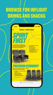 spirit airlines not working image-2