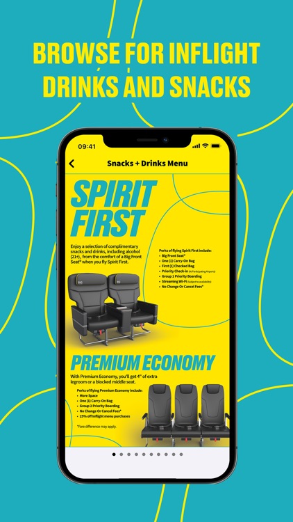 Spirit Airlines