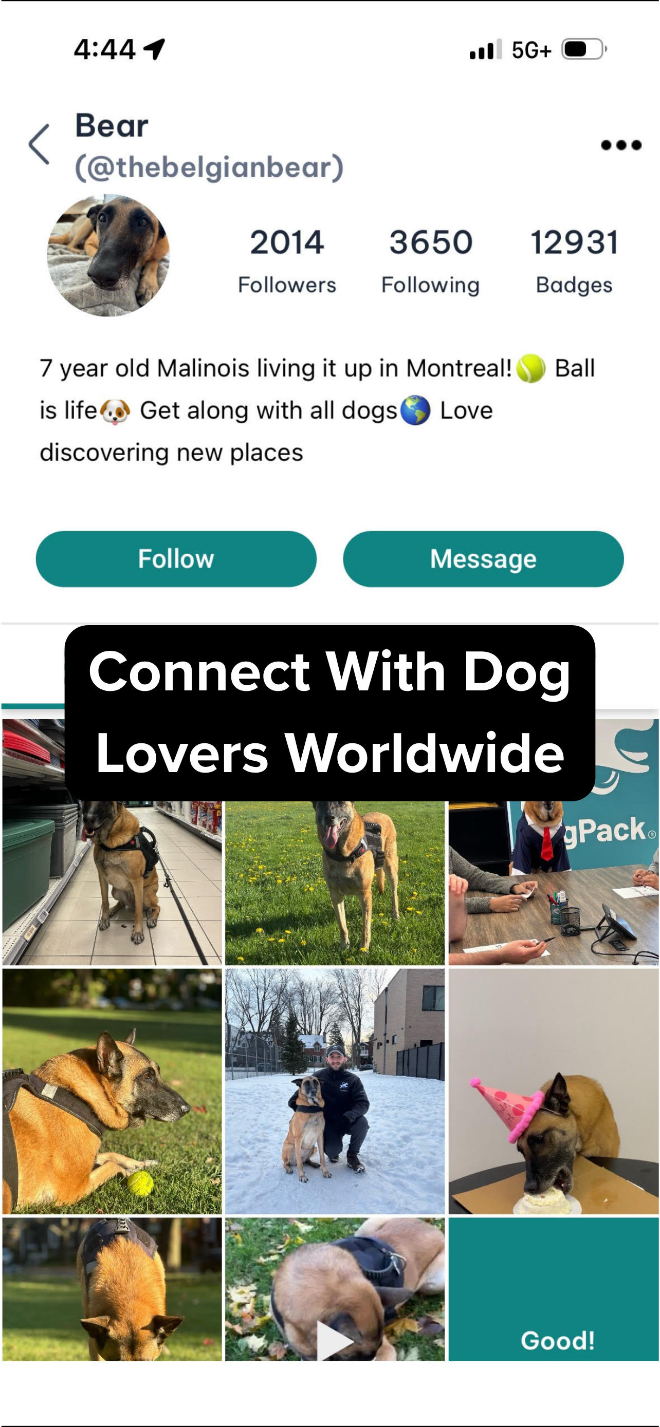 DogPack: Dog Friendly Spots