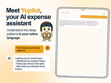 Yomio Budget & Expense Tracker ipad screenshot 4