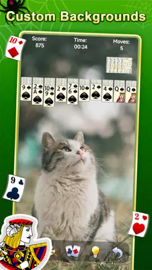 Spider Solitaire - ACE screenshot 3