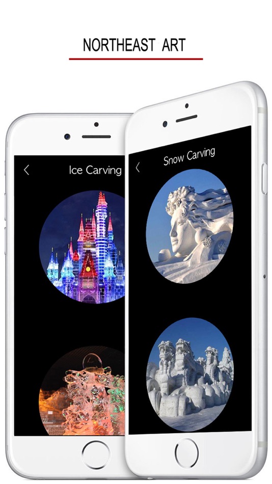 #6. Northeastern Chinese Dialect (iOS) 由: 俊 姜
