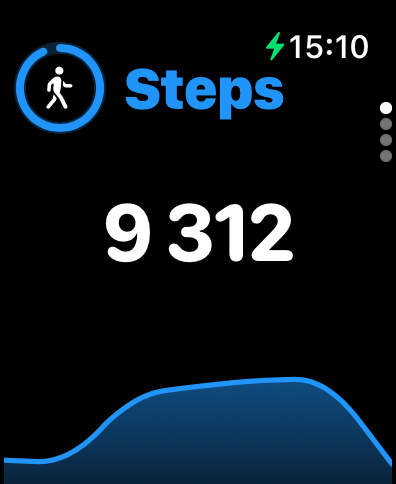 Steps Tracker Pedometer StepGo
