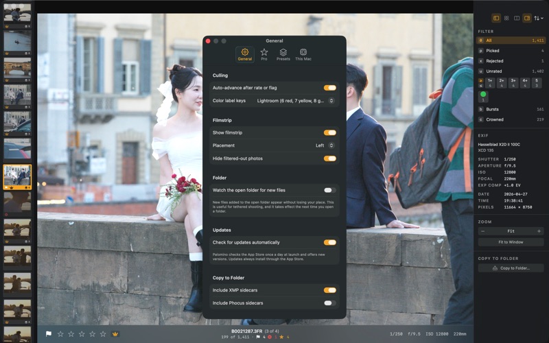 Palomino screenshot