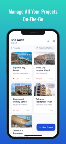 Site Audit Expert Screenshot 4 of 6