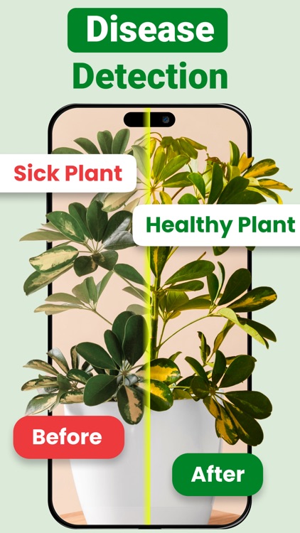 AI Plant Identifier& Diagnosis