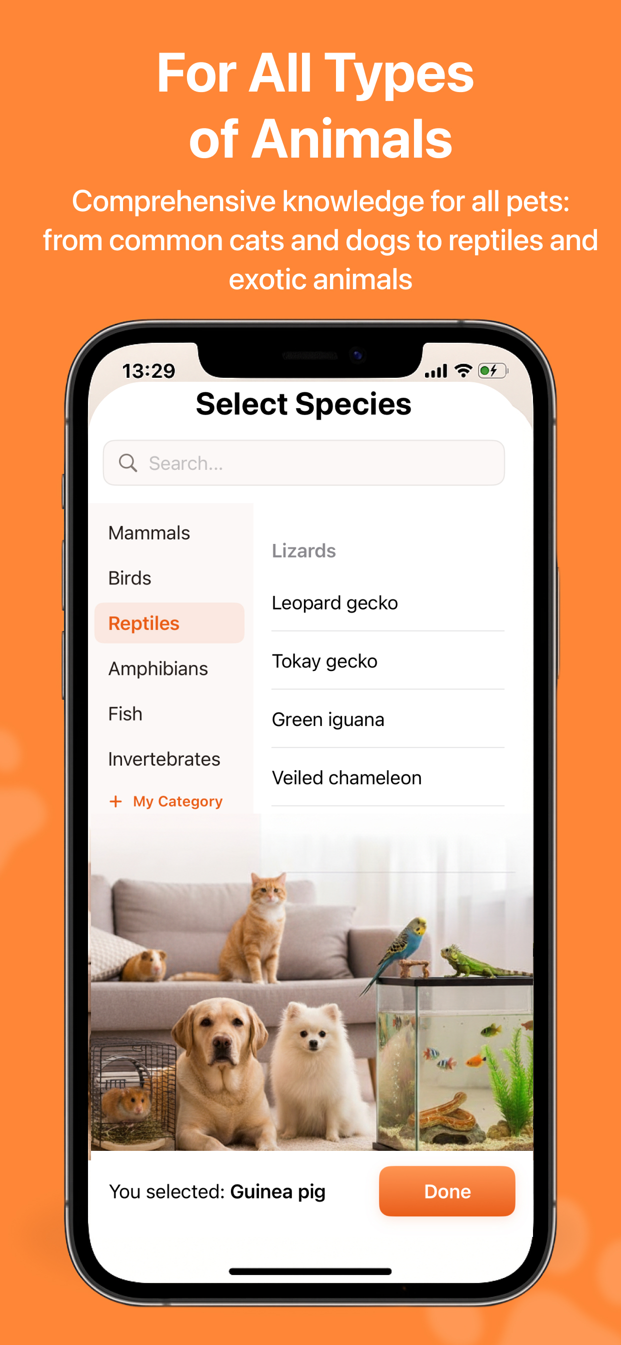 AI Pet: Dog, Cat & Vet Health