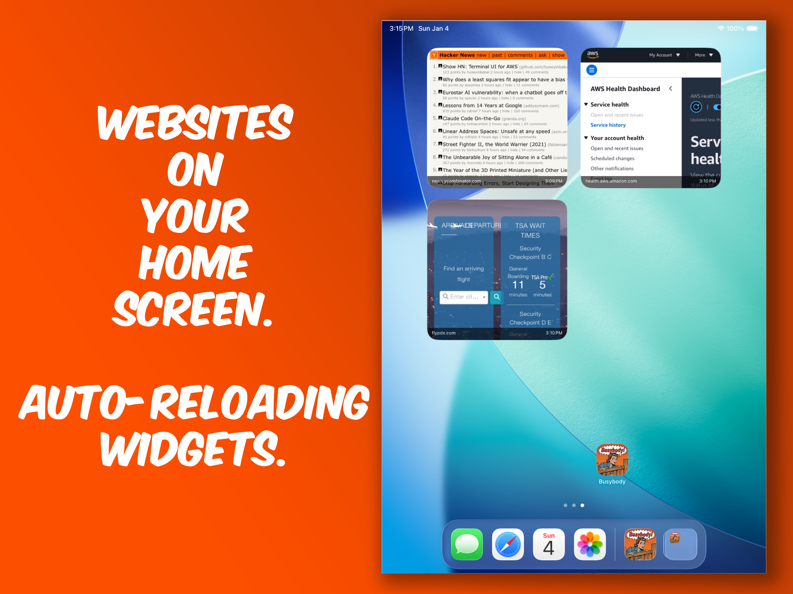 Busybody Web Screenshot Widget screenshot 4