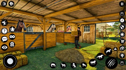 Shelter Horse - Star Stallion Screenshot