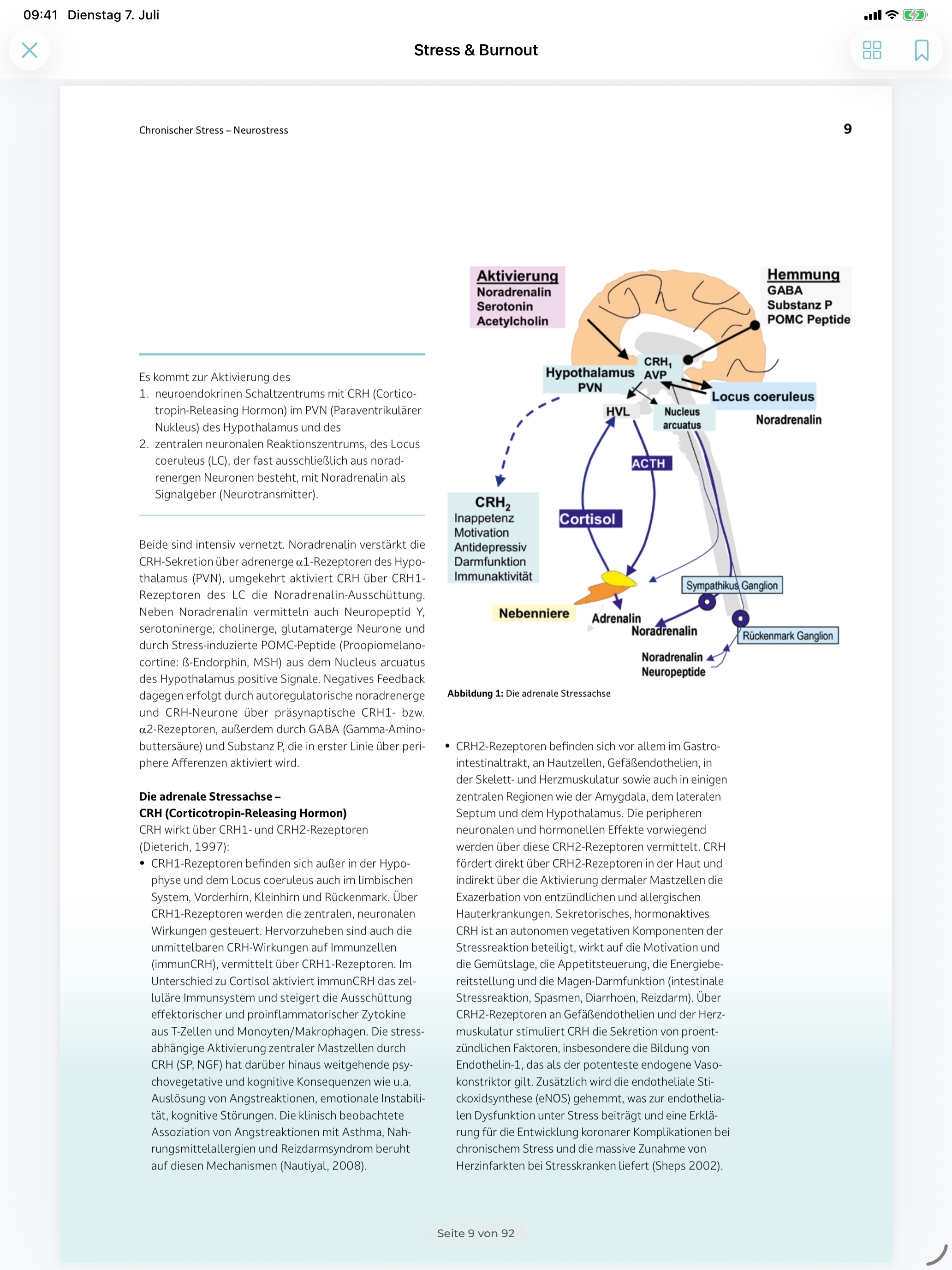 Causamedic screenshot 3