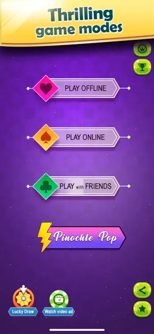 Pinochle: Online Fun Card Game screenshot 2