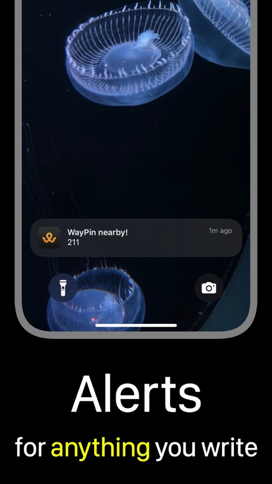 #1. WayPin (iOS) 由: Alex Fife
