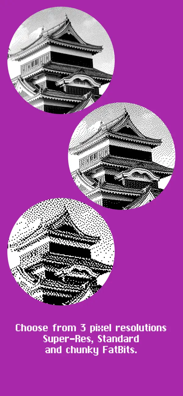 Screenshot #2 pour BitCam