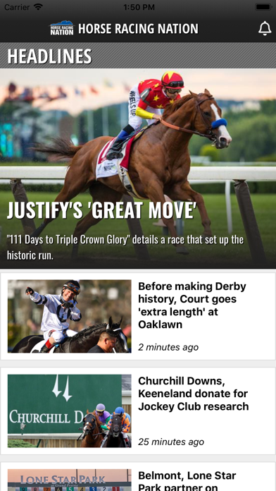 Horse Racing Nation Screenshot