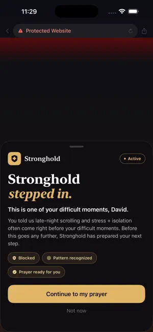 Stronghold: Purity Shield screenshot 2
