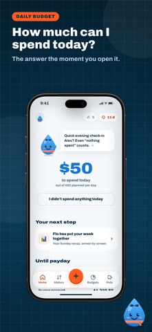 Flux: Daily Budget & Savings screenshot 1
