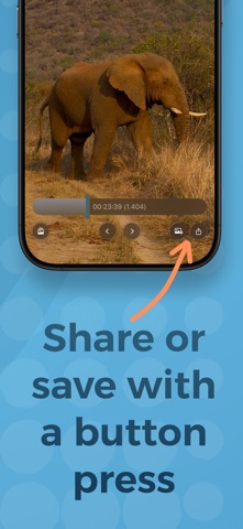 Freeze Frame! Screenshot 5 of 5