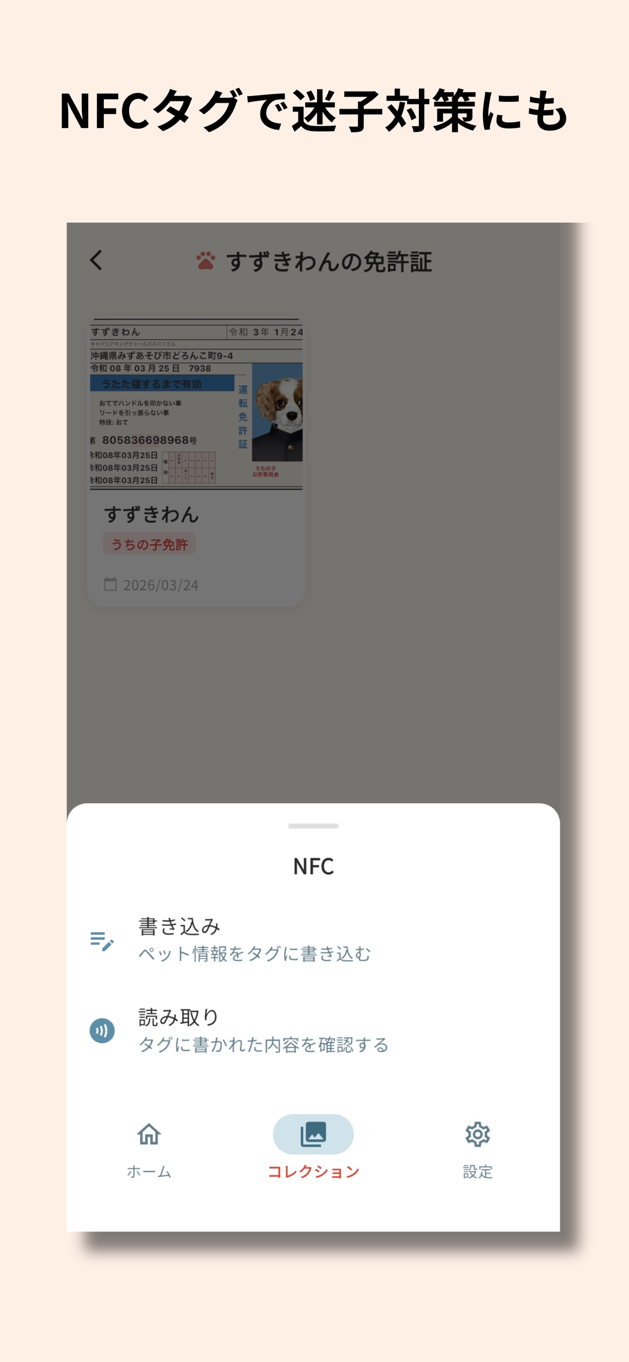 うちの子免許証 screenshot 6