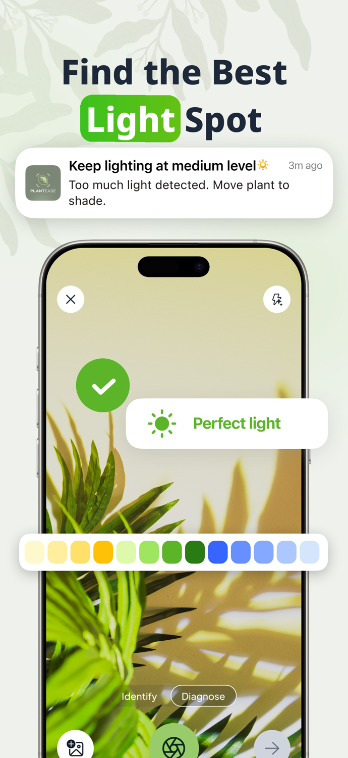 PlantEase Plant Identifier