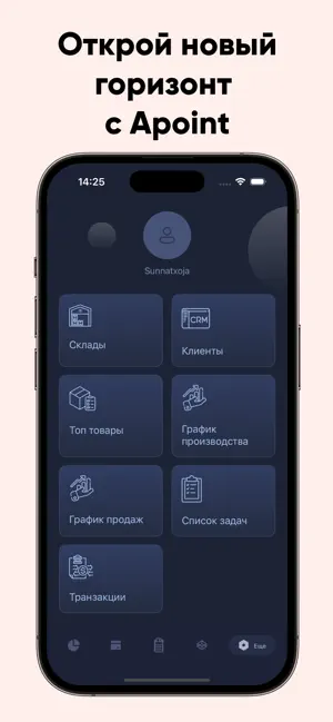 Apoint Boss screenshot 3