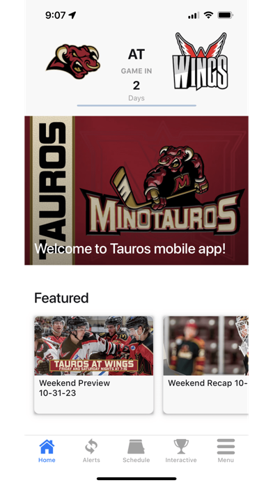 Tauros Hockey Screenshot