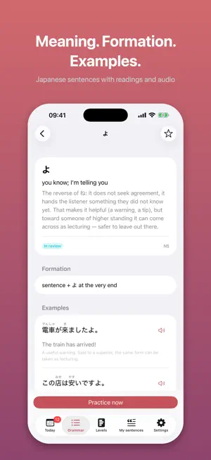 Kaname: Japanese Grammar screenshot 4