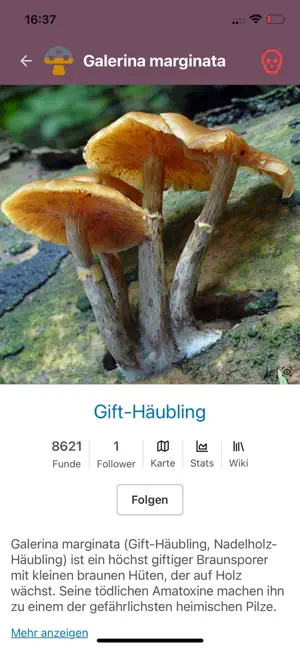 Mushpits - Locate your fungi screenshot 3
