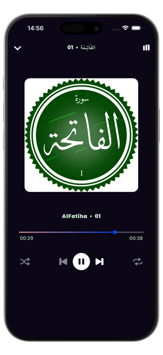 Offline Quran MP3 Audio Screenshot 10 of 10