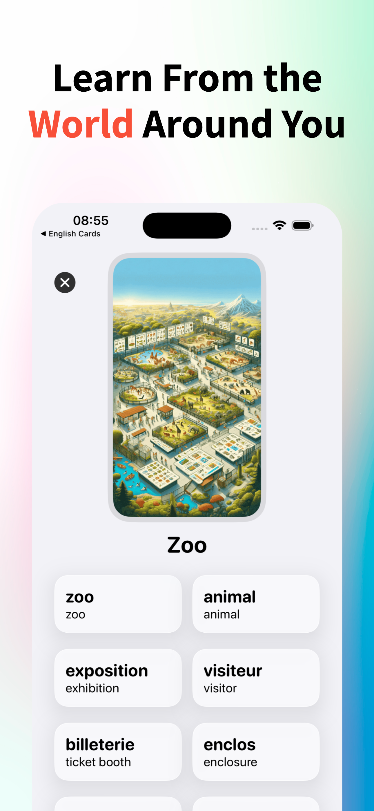 Flashcards - Learn French