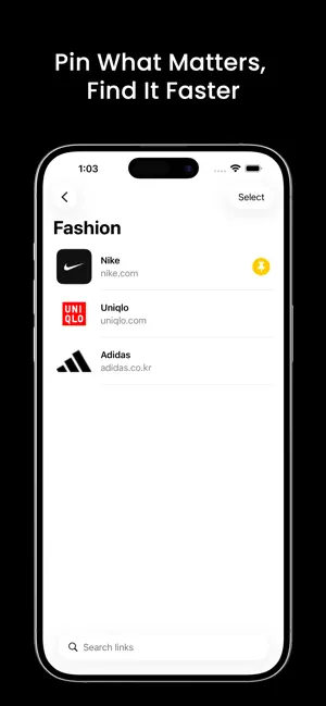 Links - Save URLs Anywhere screenshot 3
