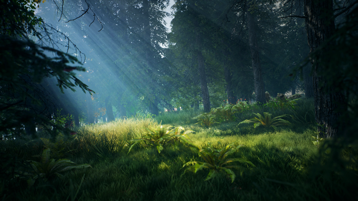 Screenshot #3 pour MindfulScapes TV