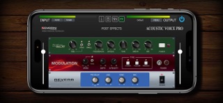 Acoustic Voice Pro screenshot