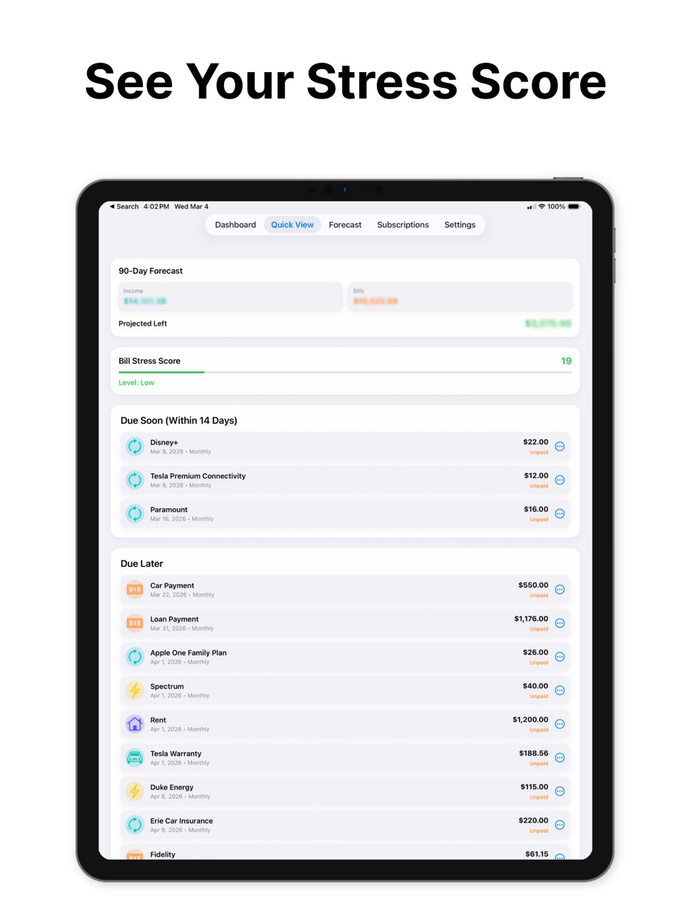 iPad screenshot