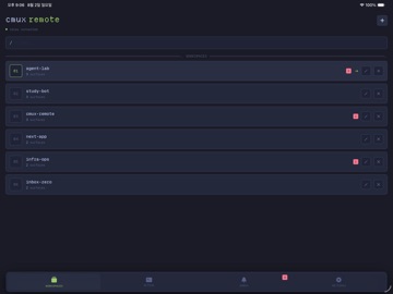 Cmux Remote iPad screenshot 2