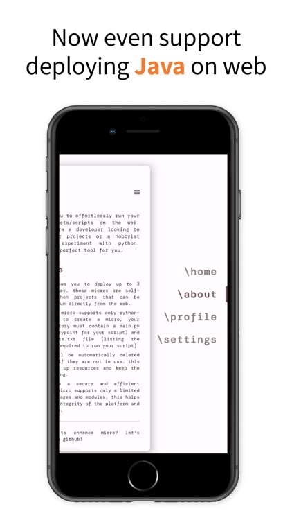Micro - run python on web screenshot-3