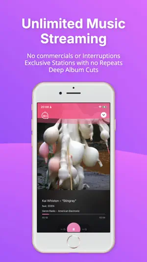 ARENA: RADIO screenshot 3