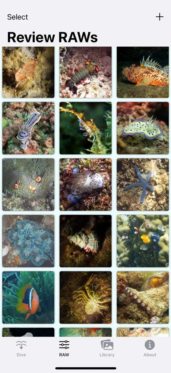 #5. ScubAI: Underwater Photo AI (iOS) โดย: KAMIL PAWEL BUDZYNSKI