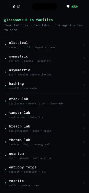 GlassBox Dev screenshot 1