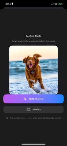 San Pro screenshot