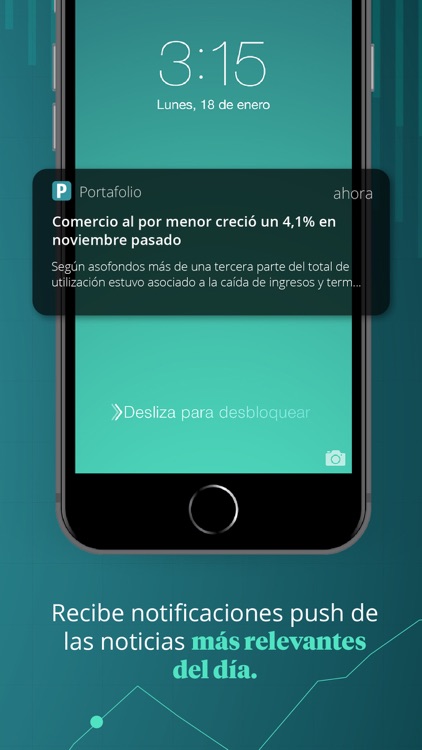 Portafolio screenshot-3