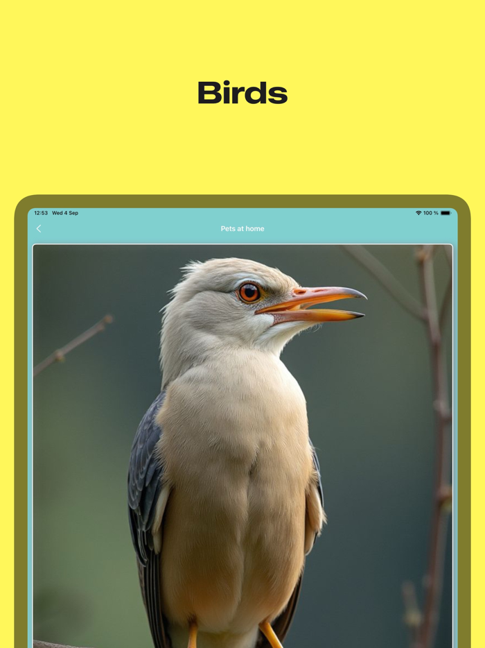 First Words Guess the Word