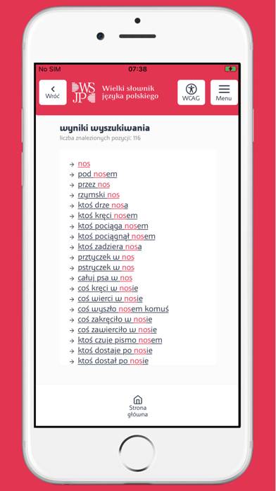 Wielki słownik WSJP PAN Screenshot
