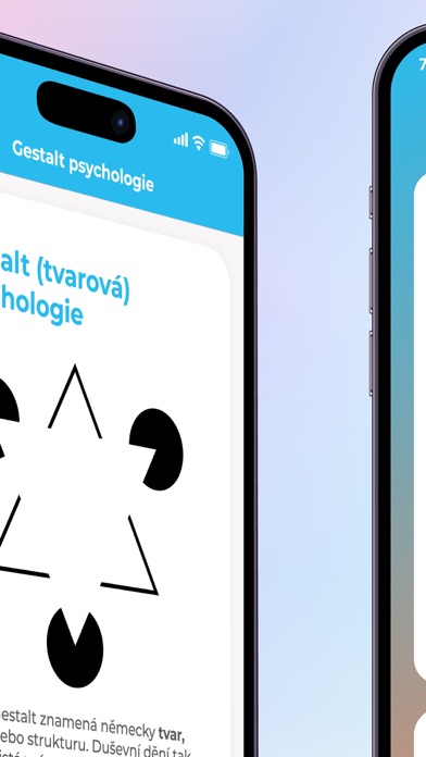 Bubo: Střední škola v kapse Screenshot