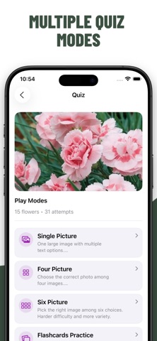Flowers Quiz Identify Types screenshot