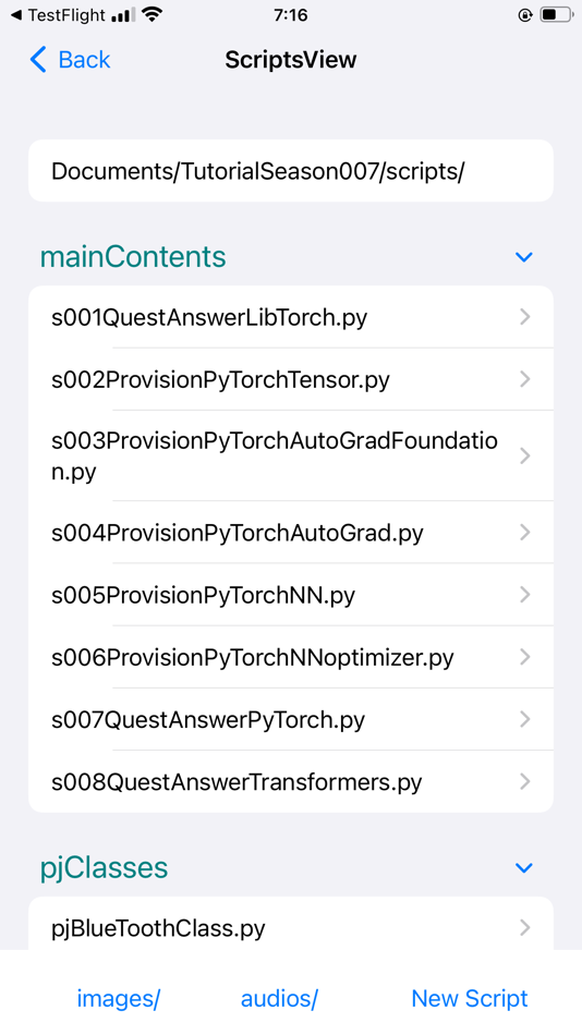 #6. PeterJohnPyTorch (iOS) di: Yasushi Obata