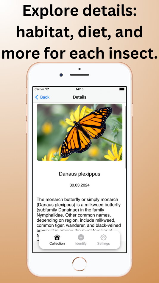 #2. Bug Identifier - Butterfly (iOS) Podle: Halis Bilal Kara