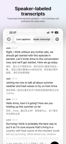 Lorqa - Local AI Translator screenshot 2