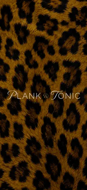 Plank And Tonic screenshot 1