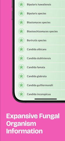 Dr. Fungus screenshot